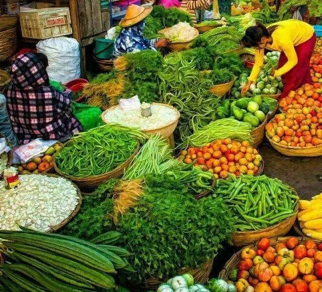 Traditional Market Adventure, Sayan, Gianyar