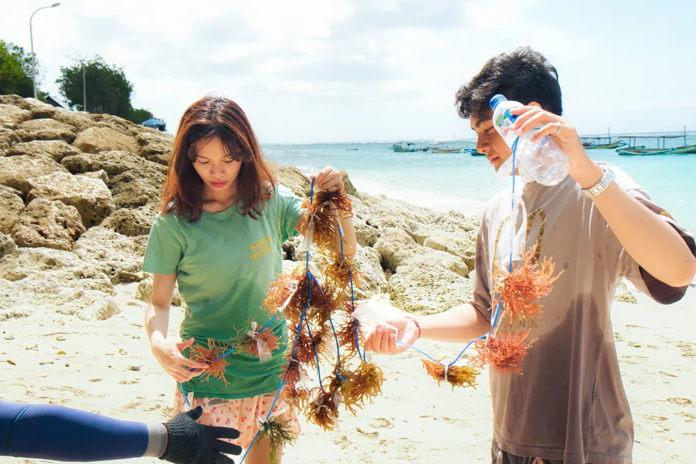 Coral Planting & Marine Discovery – photo 5