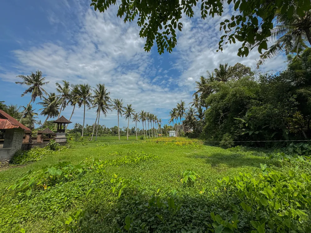 Discovering Bali’s Tri Hita Karana – photo 4