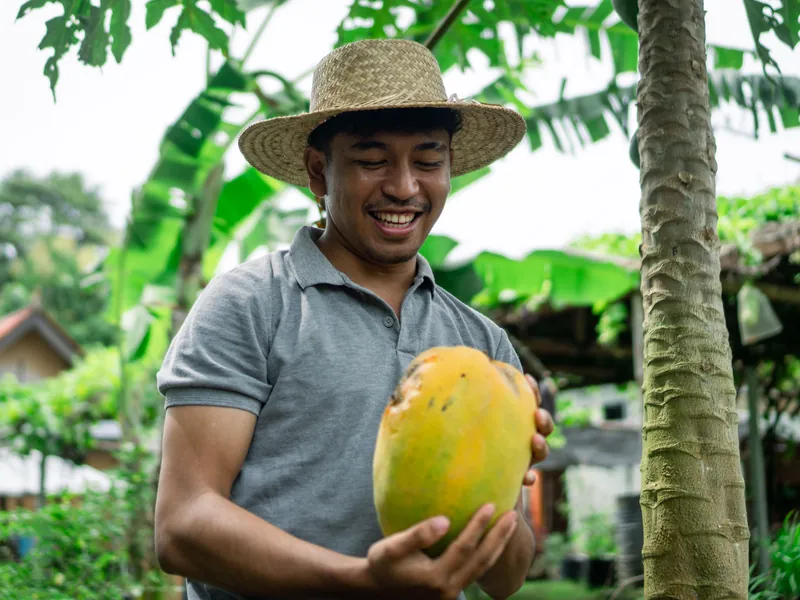 From Garden to Table Experience, South Bali