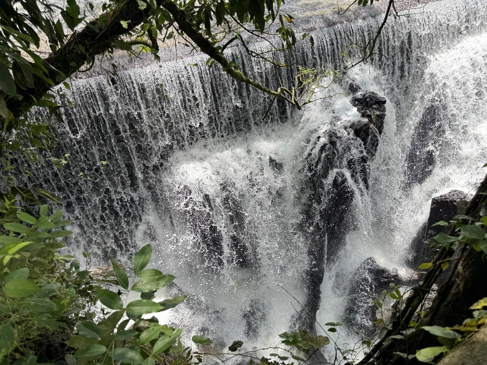 From Jungle Trails to Inner Peace – photo 2