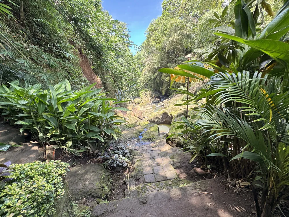 From Jungle Trails to Inner Peace – photo 3