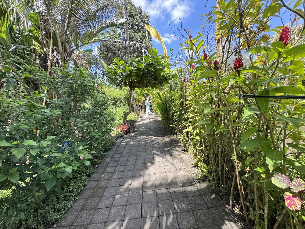 From Jungle Trails to Inner Peace – photo 4