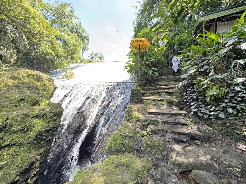 From Jungle Trails to Inner Peace, Pejeng, Gianyar