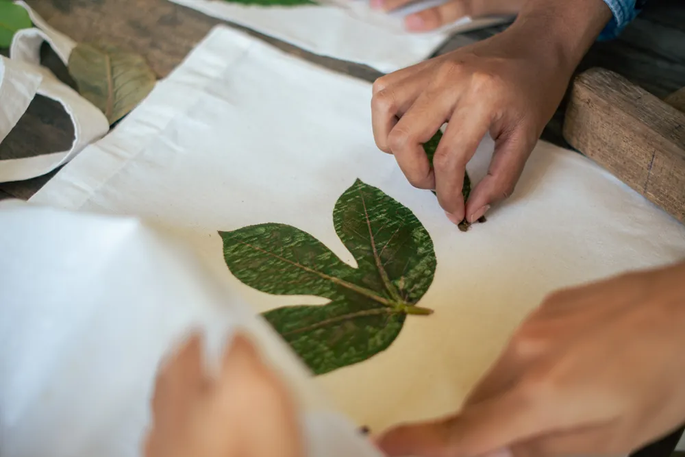 From Mangrove to Art – photo 4