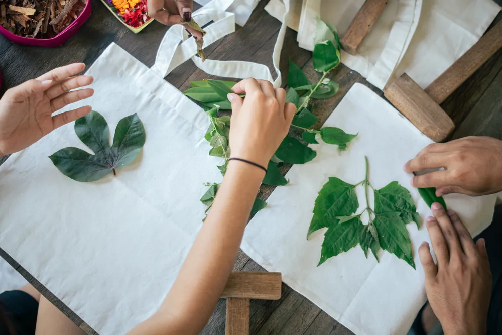 From Mangrove to Art – photo 10