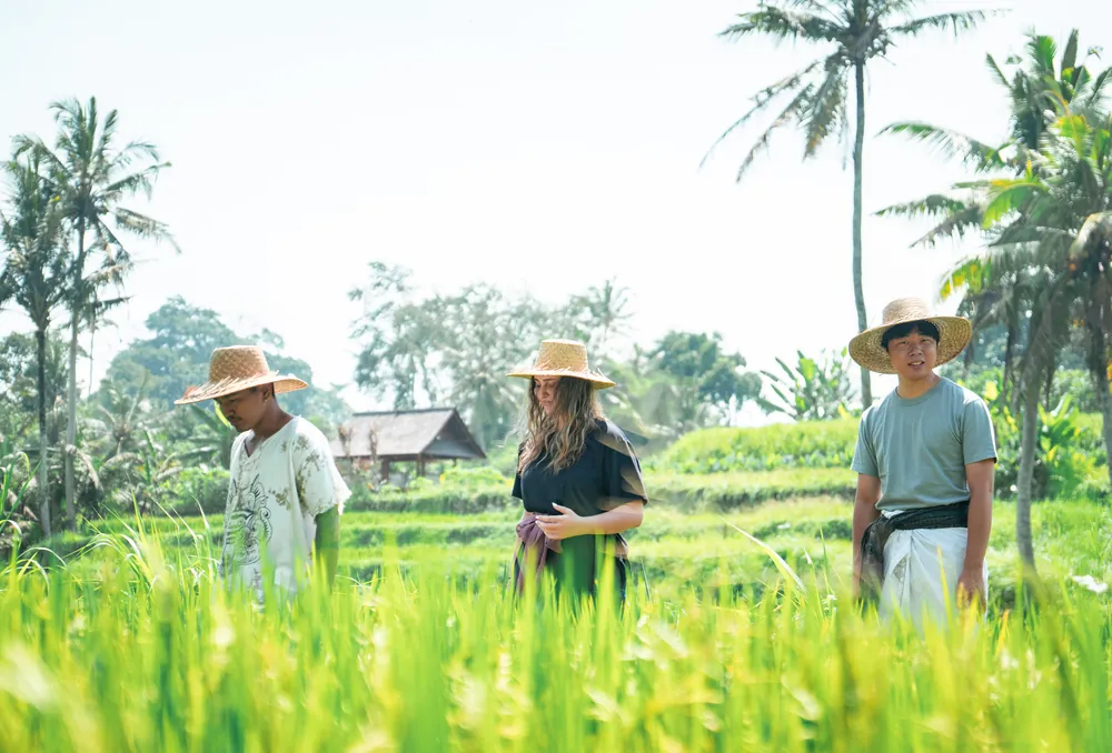 From Subak Wisdom to Ancient Relief – photo 8