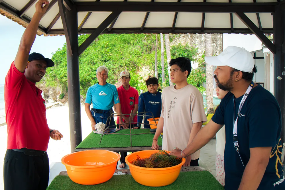 Seaweed Cultivation & Coastal Life – photo 5