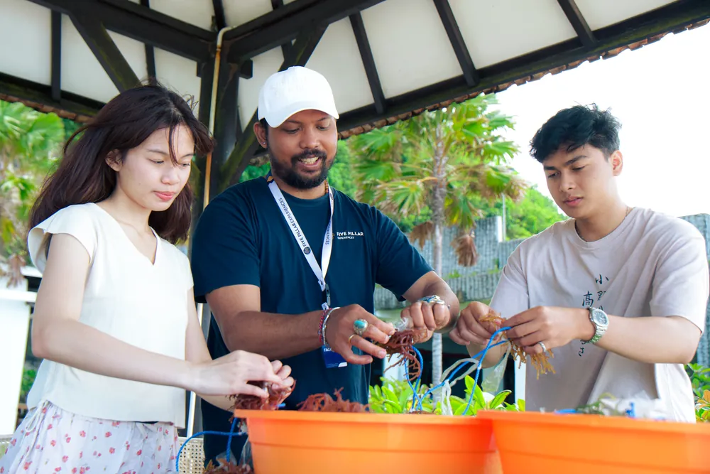Seaweed Cultivation & Coastal Life – photo 8