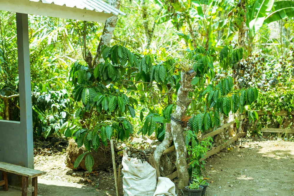 Brewing Resilience in Farming Communities – photo 2