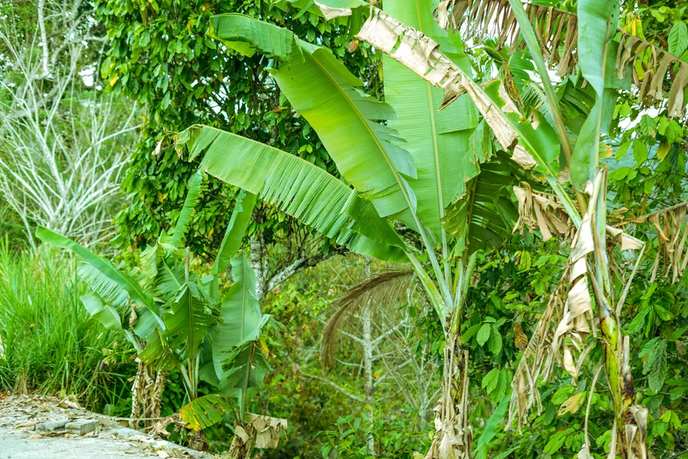 Brewing Resilience in Farming Communities – photo 6