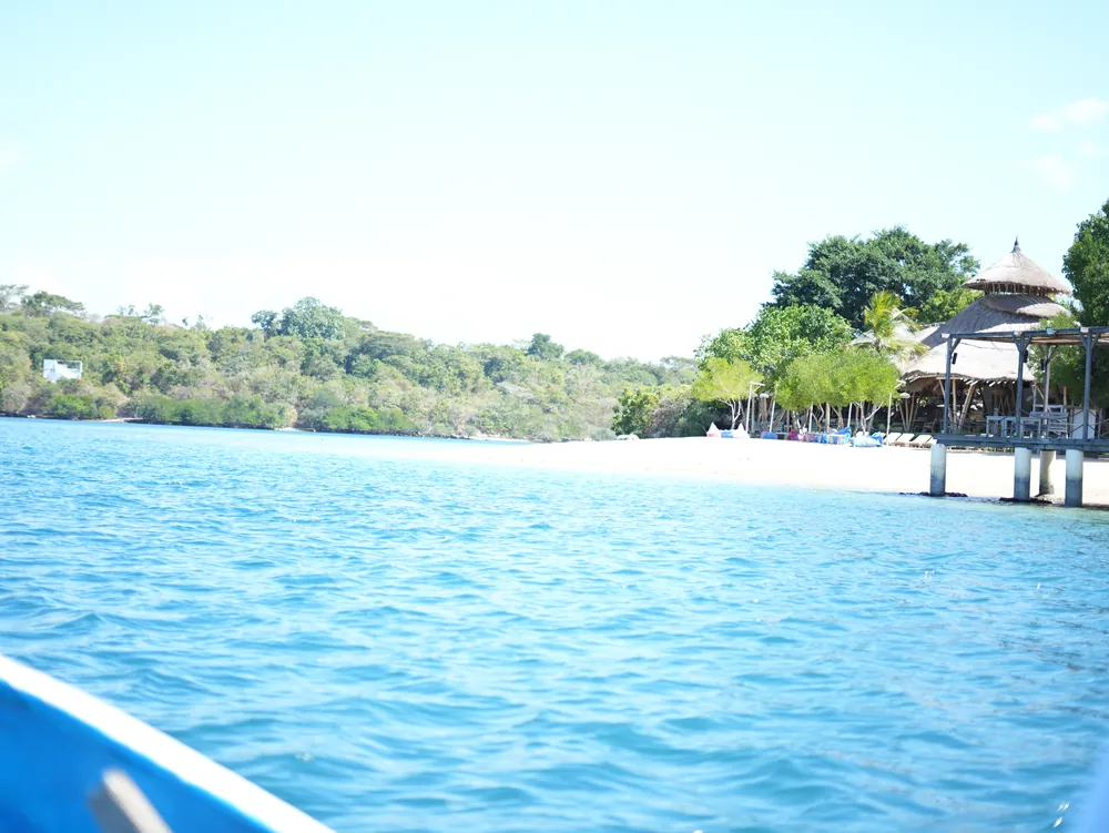 Coral Restoration Project with Ketut Danu – photo 4