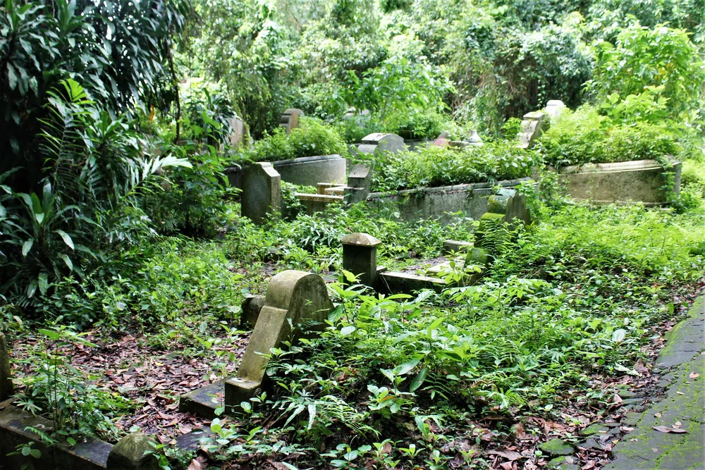 Cycling through Culture – photo 4