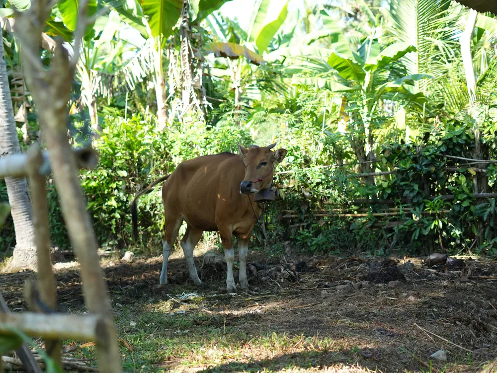 Guardians of Tradition across Generations – photo 3
