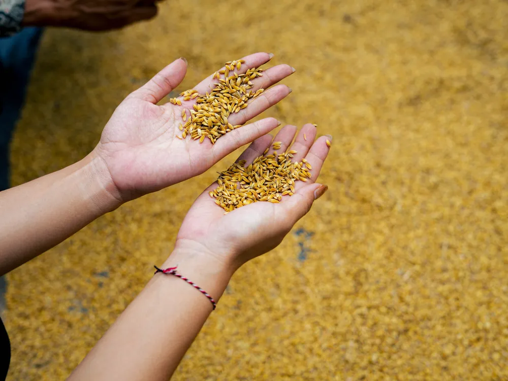 Organic Farming for Resilient Communities – photo 4