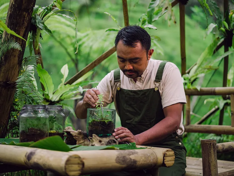 Preserving the Magic of Fireflies – Wayan Wardika, Taro, Gianyar