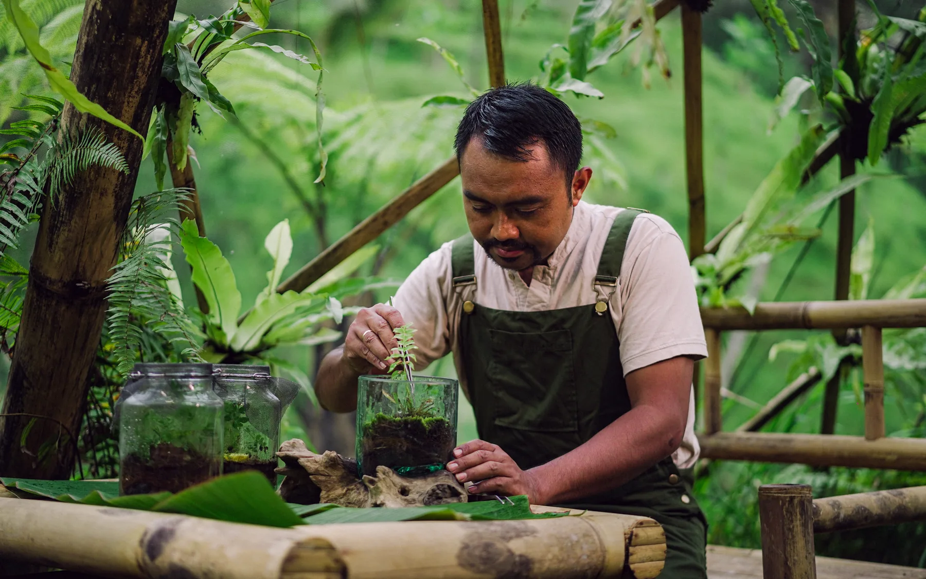 Preserving the Magic of Fireflies – Taro, Gianyar