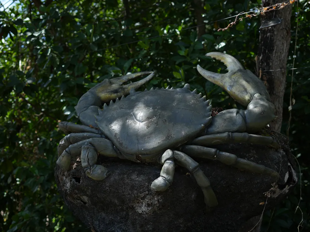 Turning Ecosystems into Opportunities – photo 2