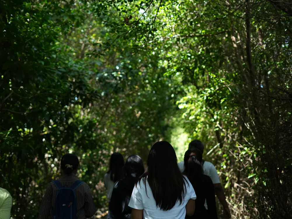 Turning Ecosystems into Opportunities – photo 3