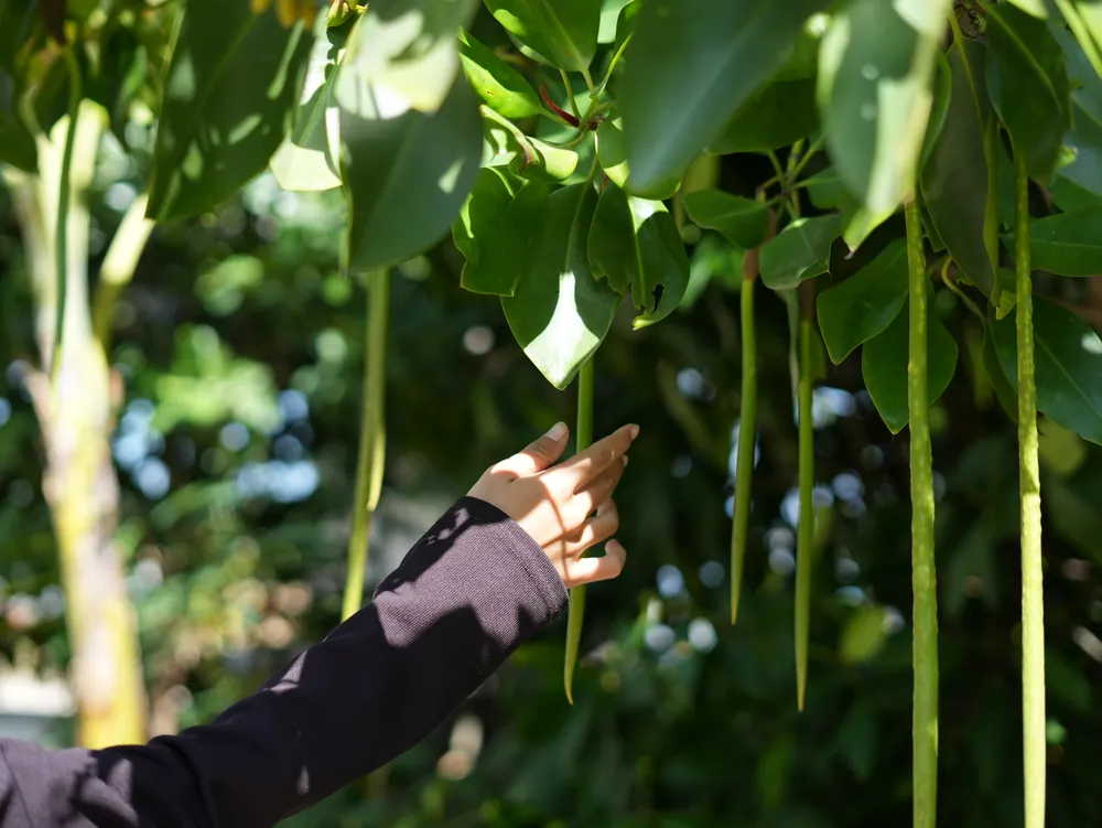 Turning Ecosystems into Opportunities – photo 4