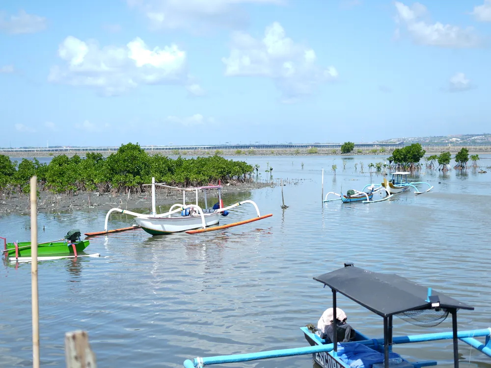 Turning Ecosystems into Opportunities – photo 8