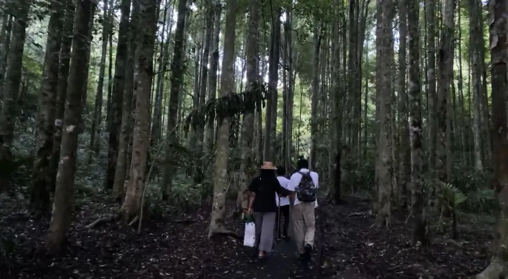 Bedugul – photo 2