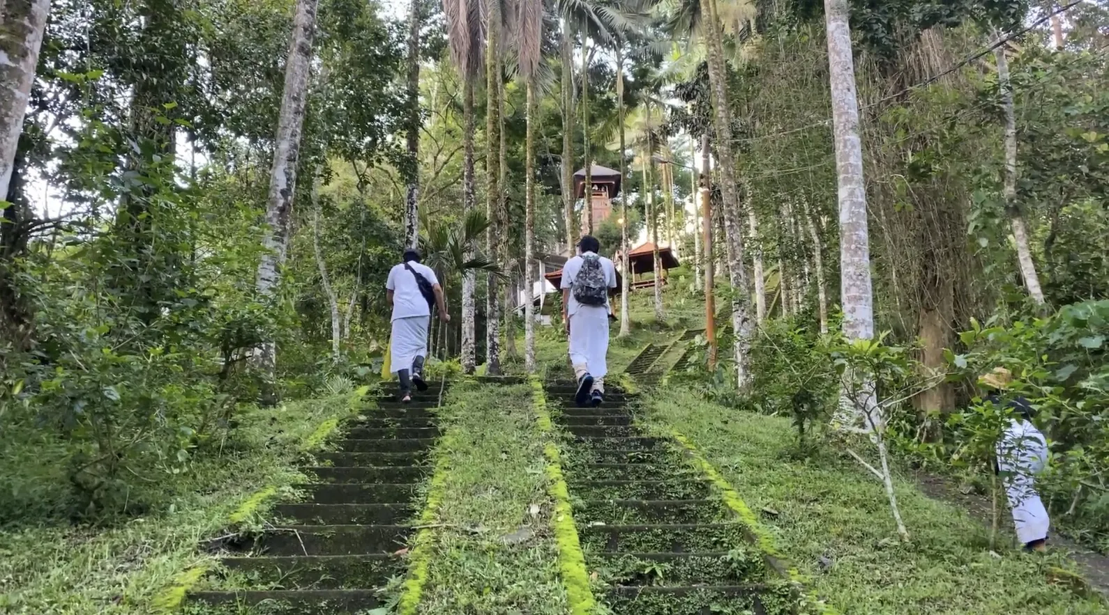 Bedugul: Roots of the Highlands – Bedugul