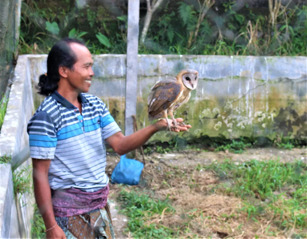 Jatiluwih – photo 2