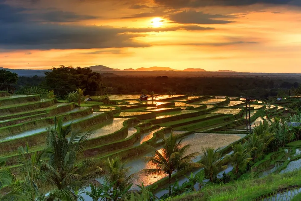 Jatiluwih – photo 7