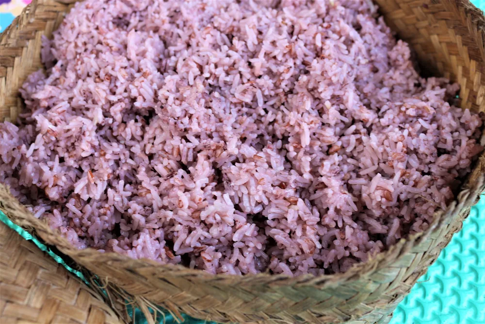Jatiluwih – photo 9