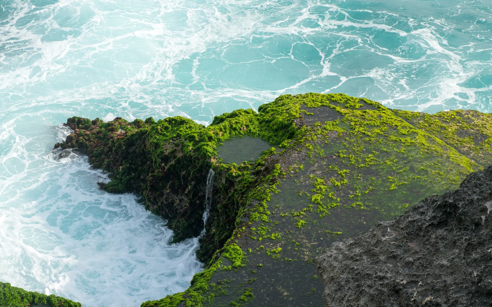 Lembongan – photo 4