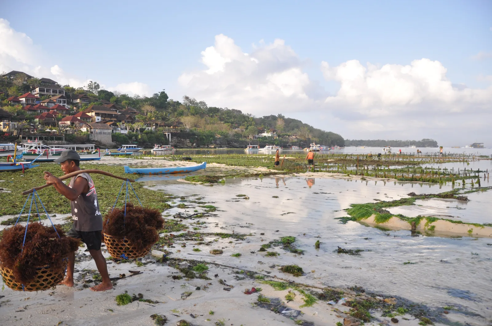 Lembongan – photo 8