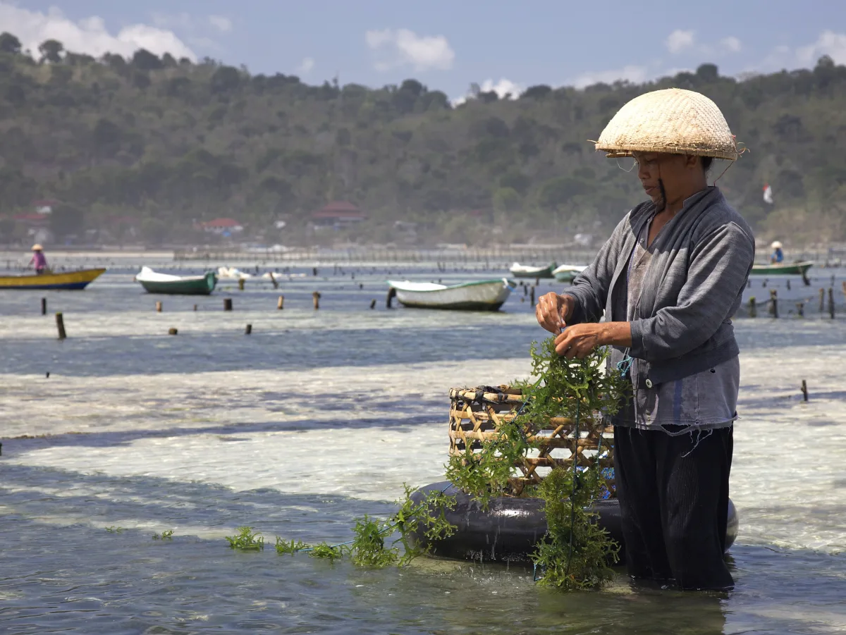 Lembongan 2 days 1 night tour