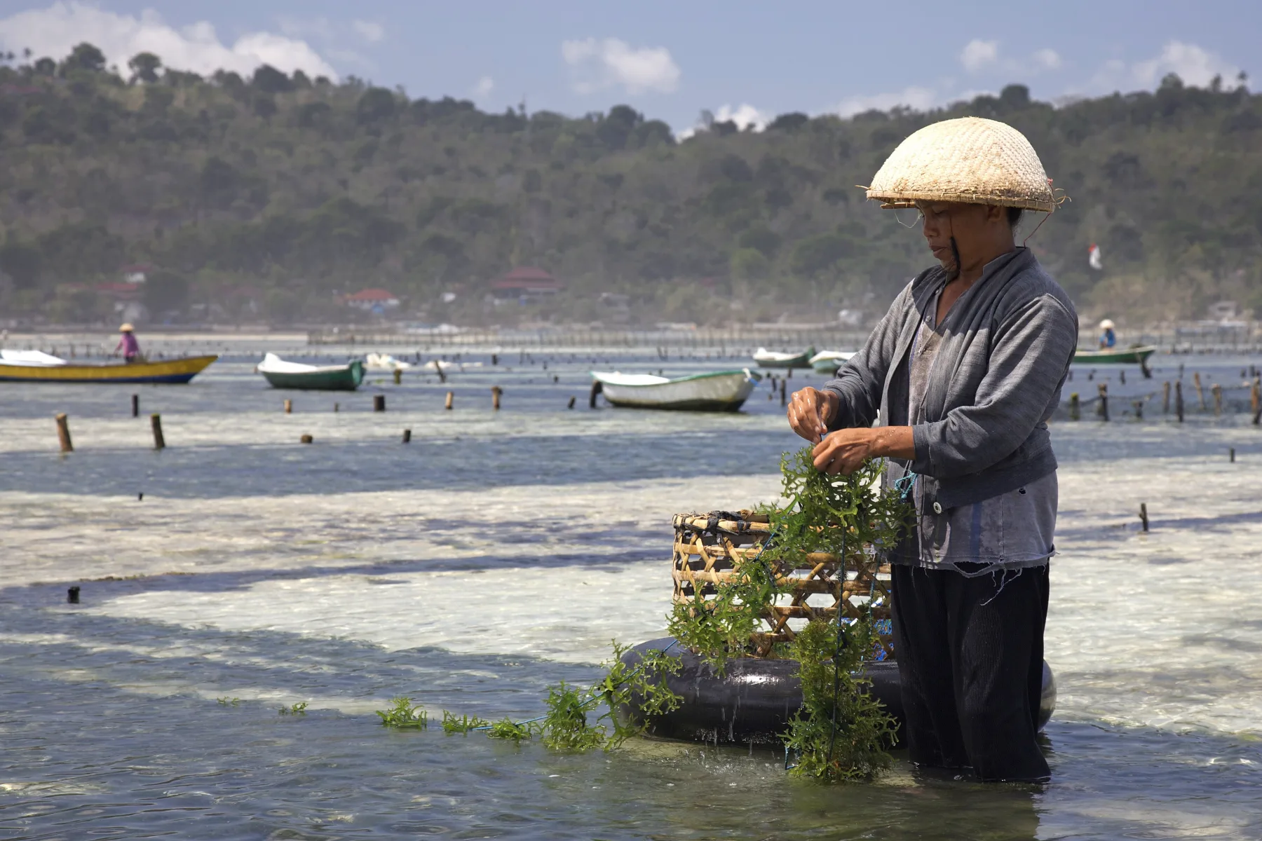Lembongan: Beyond the Blue – Lembongan