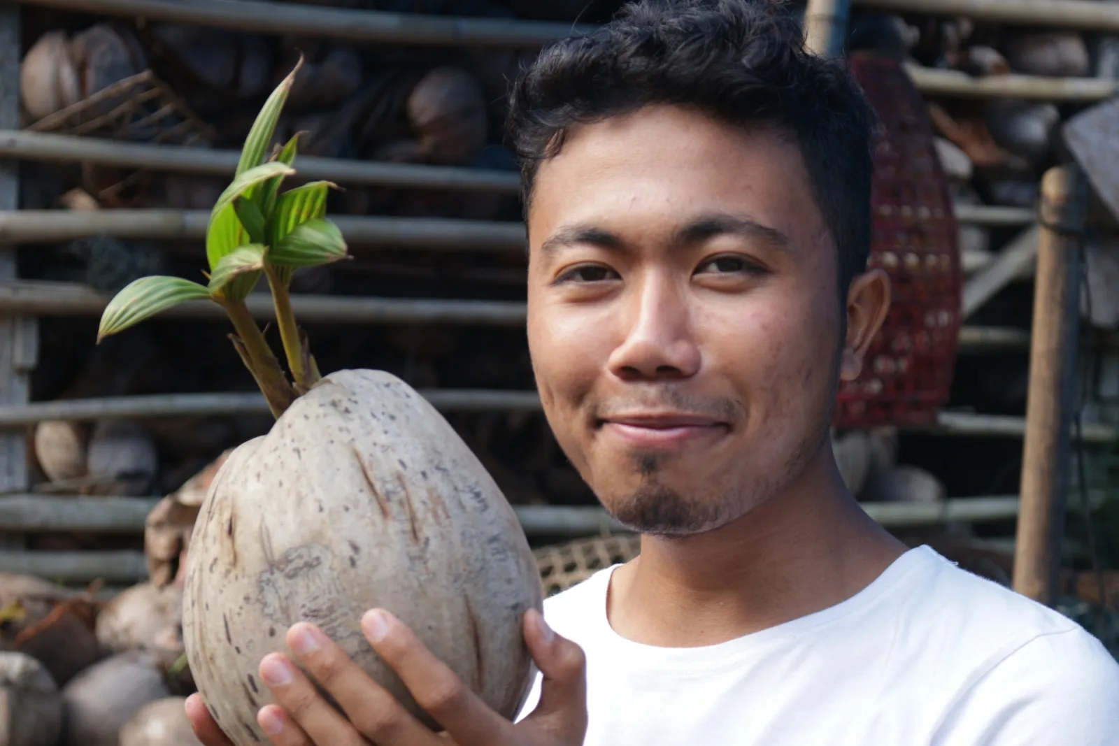 Medewi – photo 6
