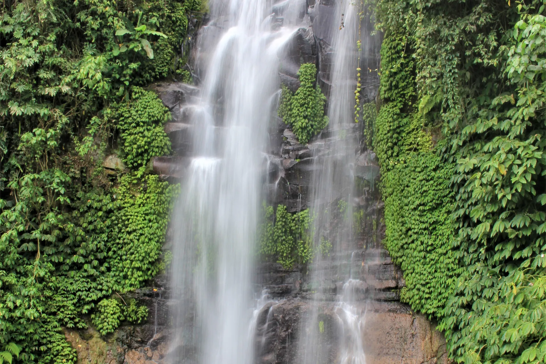 Munduk: Taste of the Northern Highlands – Munduk