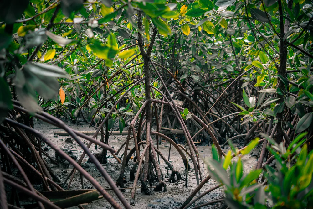 Nusa Dua – photo 2