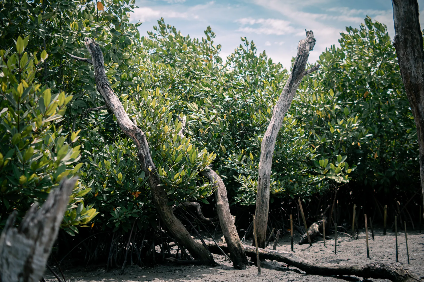 Nusa Dua – photo 3