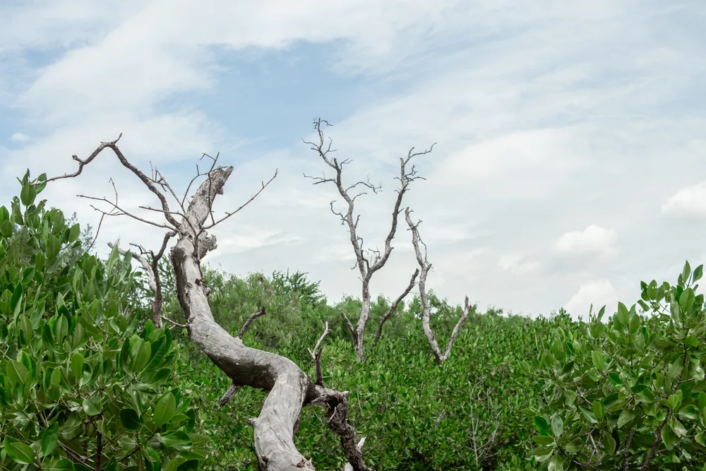 Nusa Dua – photo 4