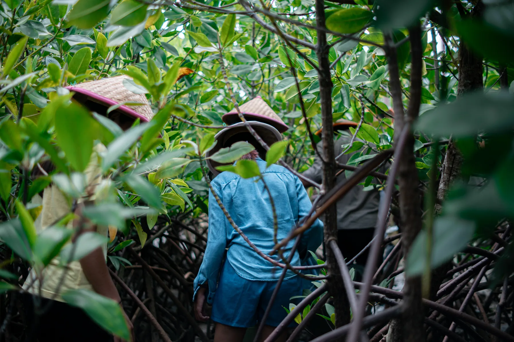 Nusa Dua: The Balinese Connection – Nusa Dua