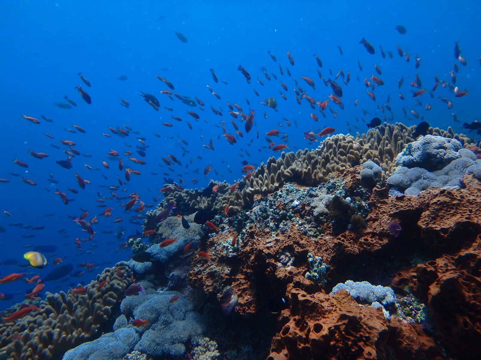 Nusa Penida – photo 8