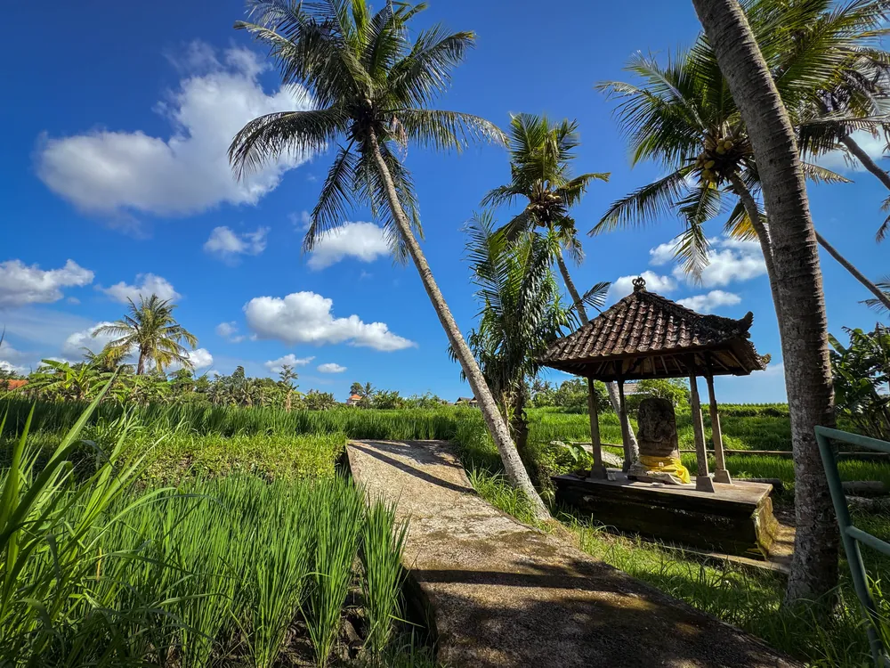 Pejeng – photo 8