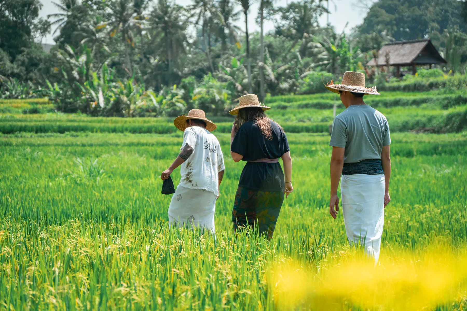 Pejeng: Nature, Culture & Wellness – Pejeng