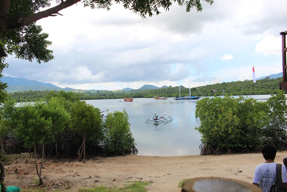 Pemuteran – photo 9
