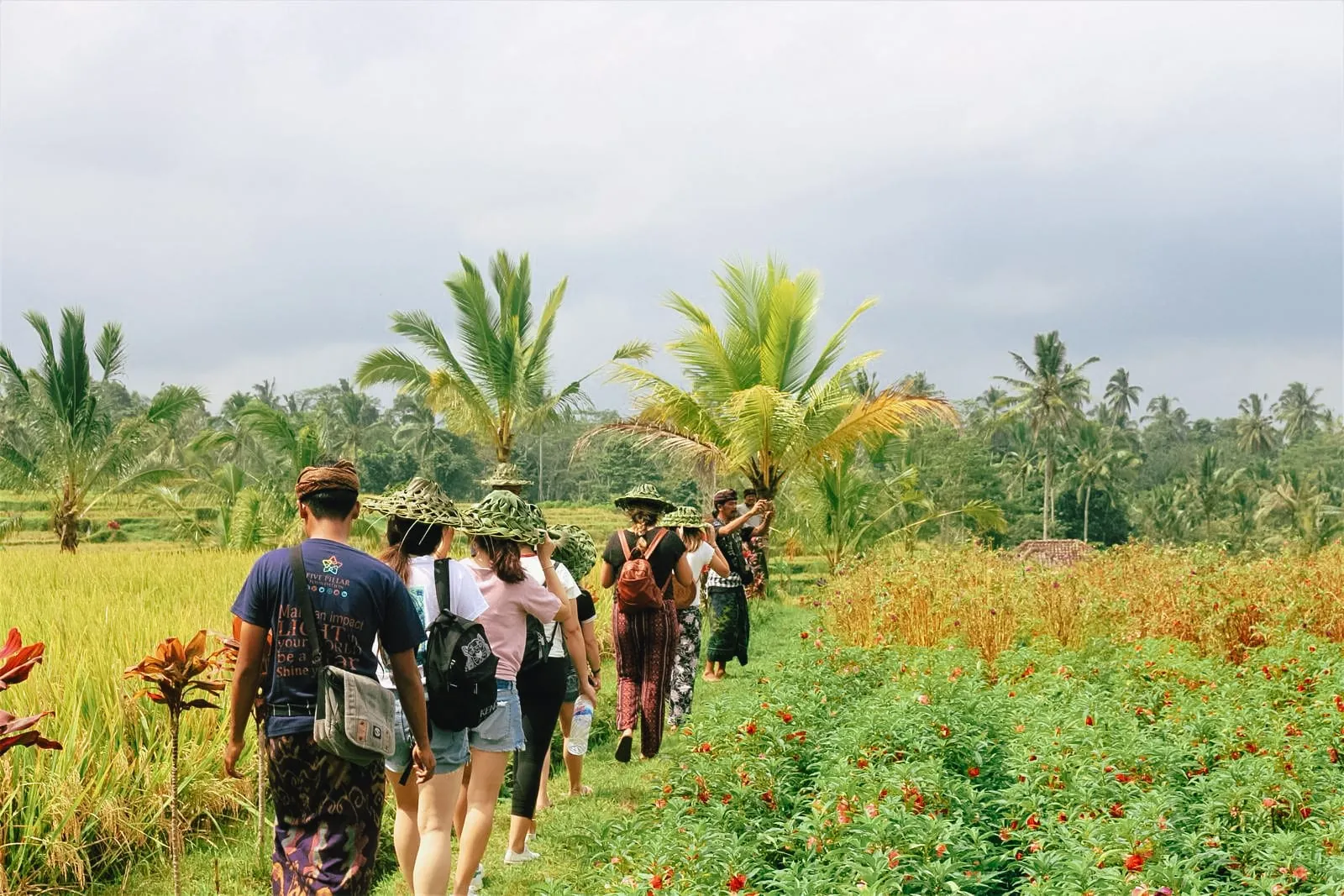 Travellers walking through Balinese rice fields with a local guide