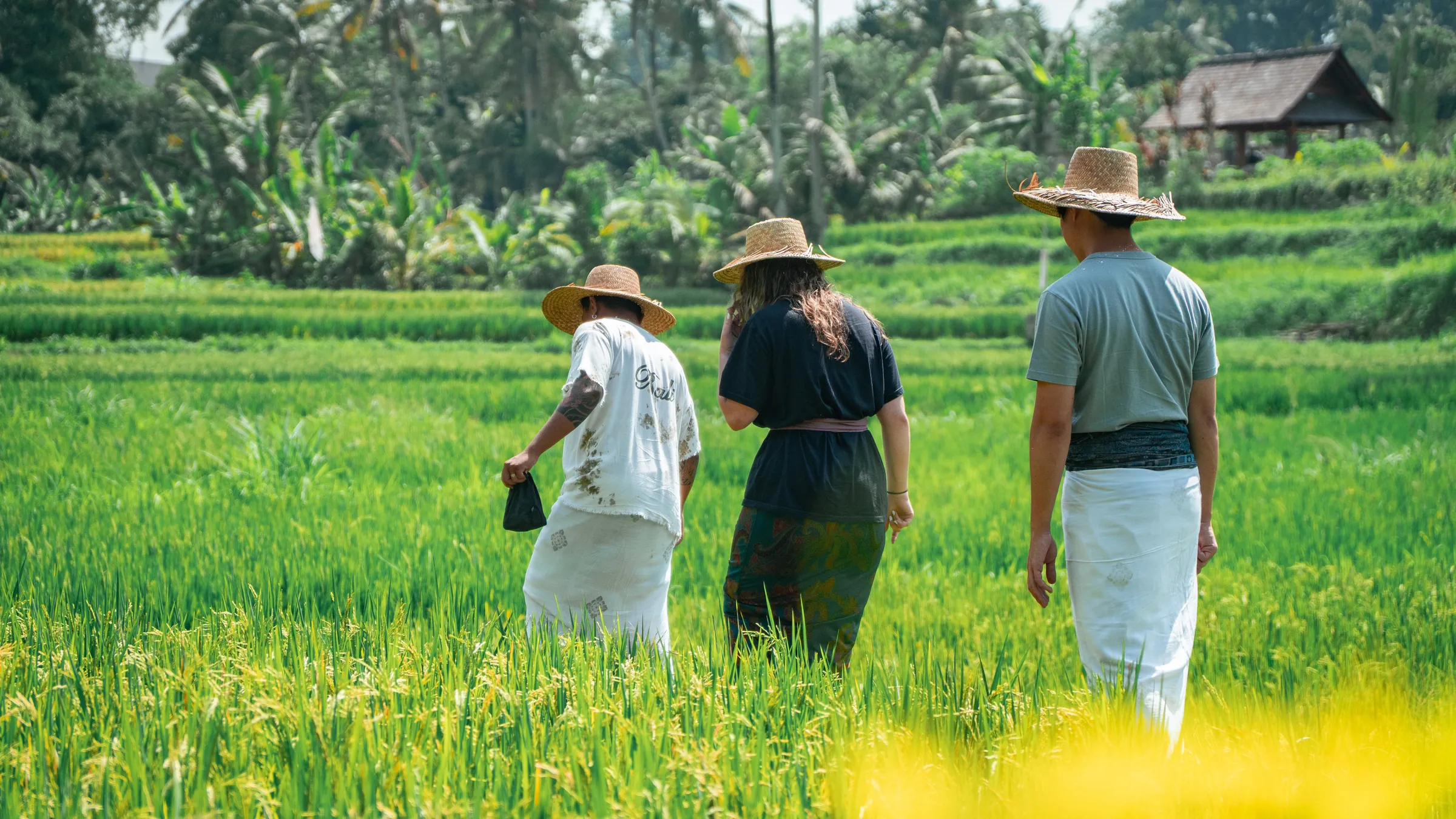 Travelers walking through Bali rice terraces with a local host