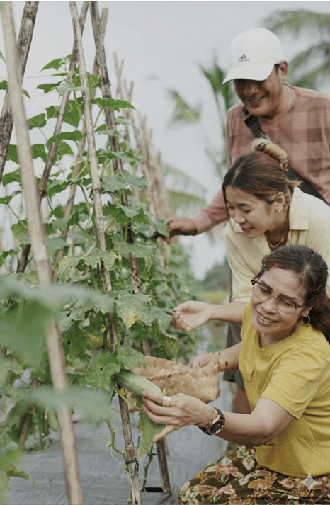 Balinese Women in the Legal Movement