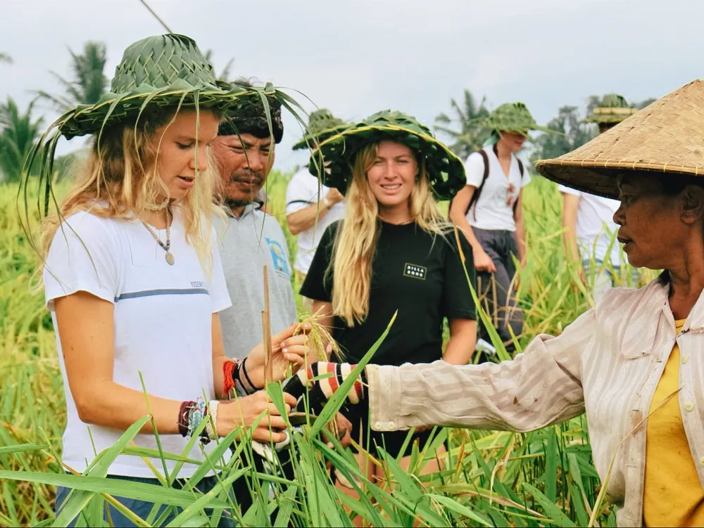 Guests planting rice with a local farmer
