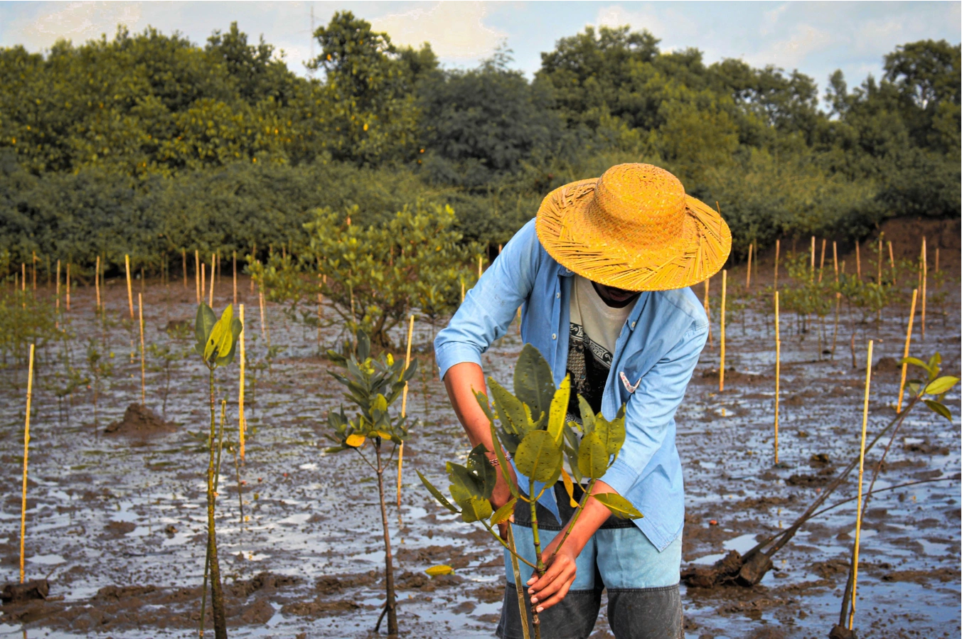 Sustainability Experiences