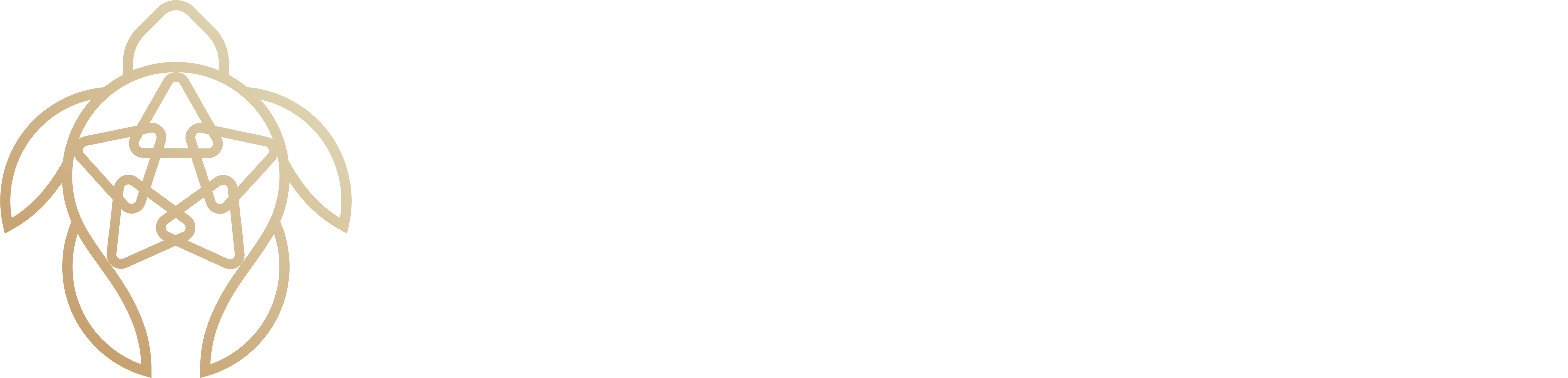 Five Pillar Experiences